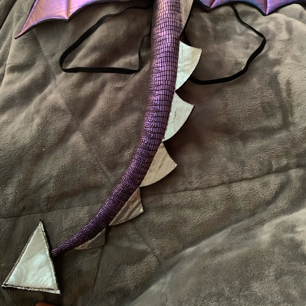 Purple iridescent adult dragon wings